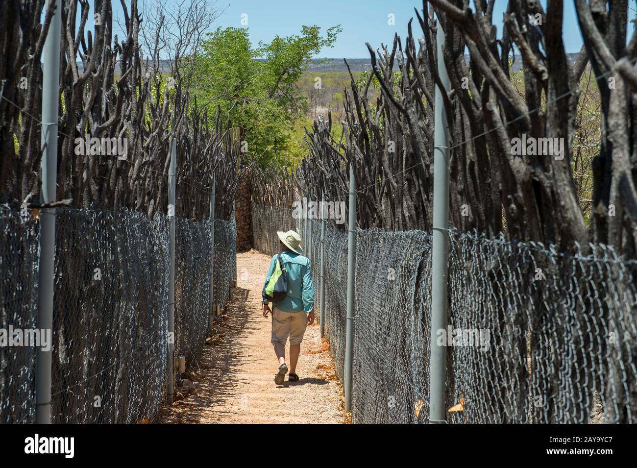 Der Weg zum Wasserloch blind in der Ongava Lodge im Ongava Game Reserve, südlich des Etosha-Nationalparks im Nordwesten von Namibia. Stockfoto