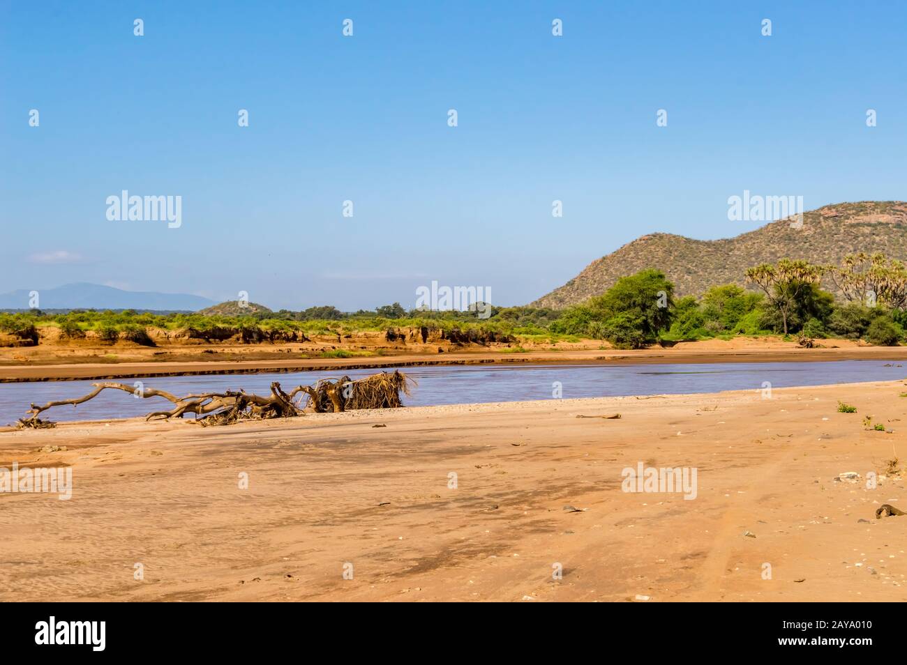Blick auf den Fluss Ewaso Ng'iro in der Savanne Stockfoto
