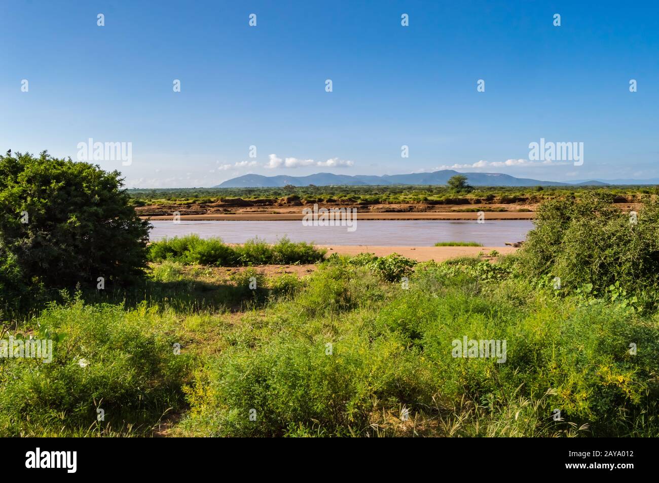 Blick auf den Fluss Ewaso Ng'iro in der Savanne Stockfoto