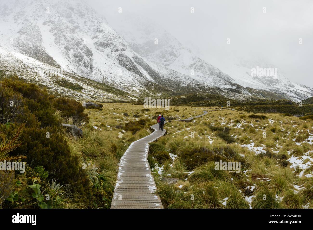 Curvy hängenden Gehweg schützt Berg Ökosystem von Hooker Valley Track Stockfoto