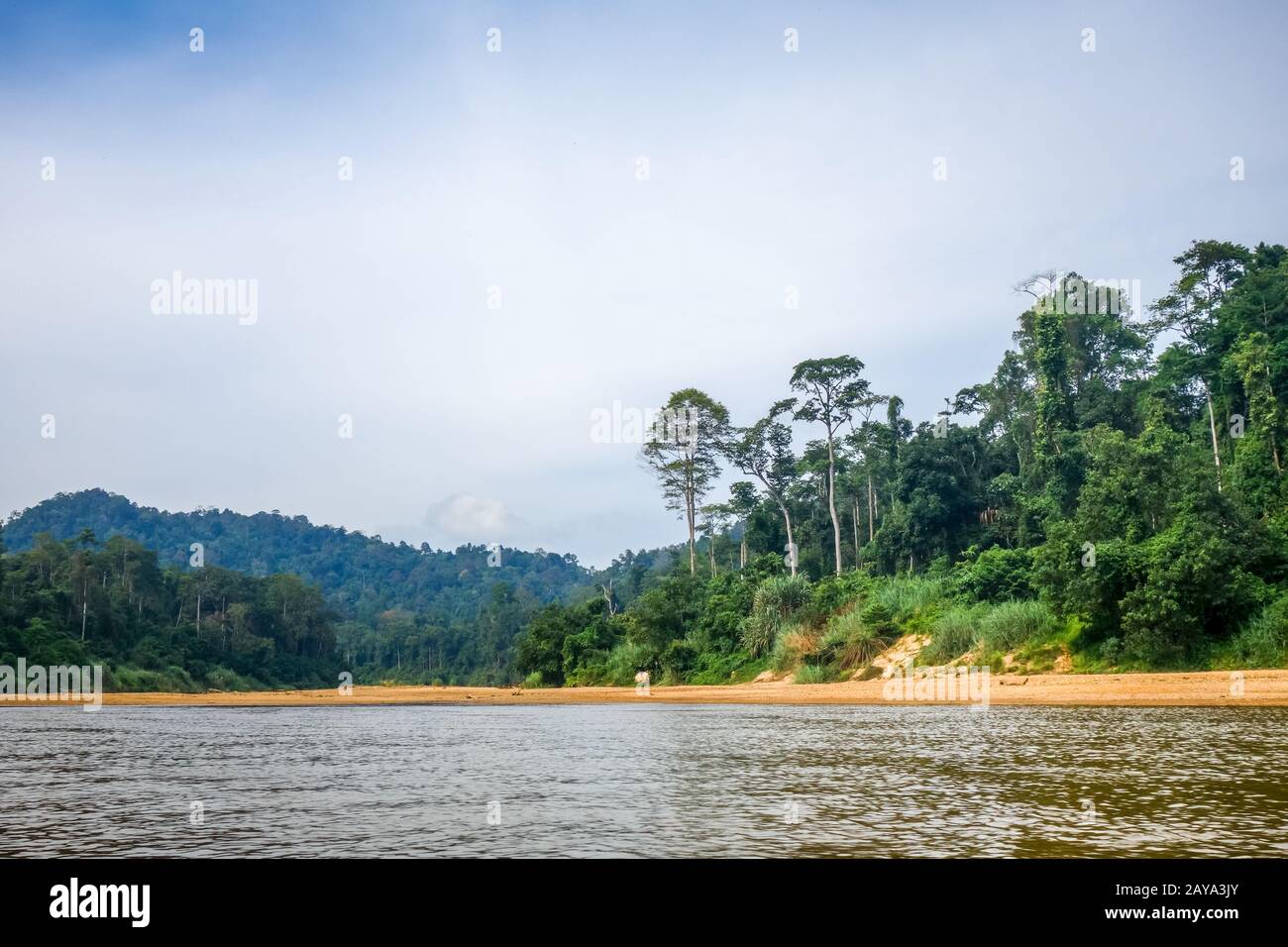 Fluss und Dschungel im Taman Negara Nationalpark, Malaysia Stockfoto