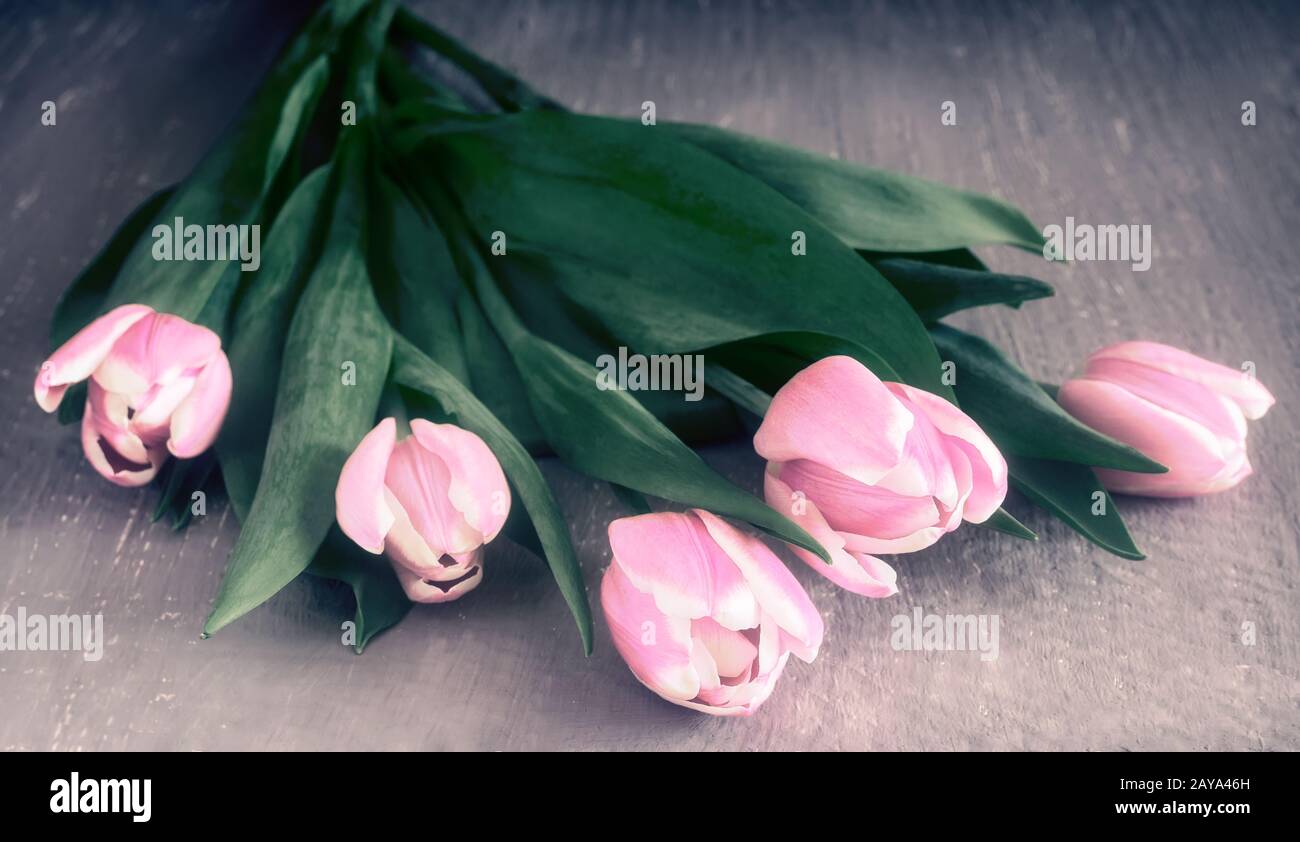 Blumenstrauß mit pinkfarbenen Tulpen auf dem Tisch Stockfoto