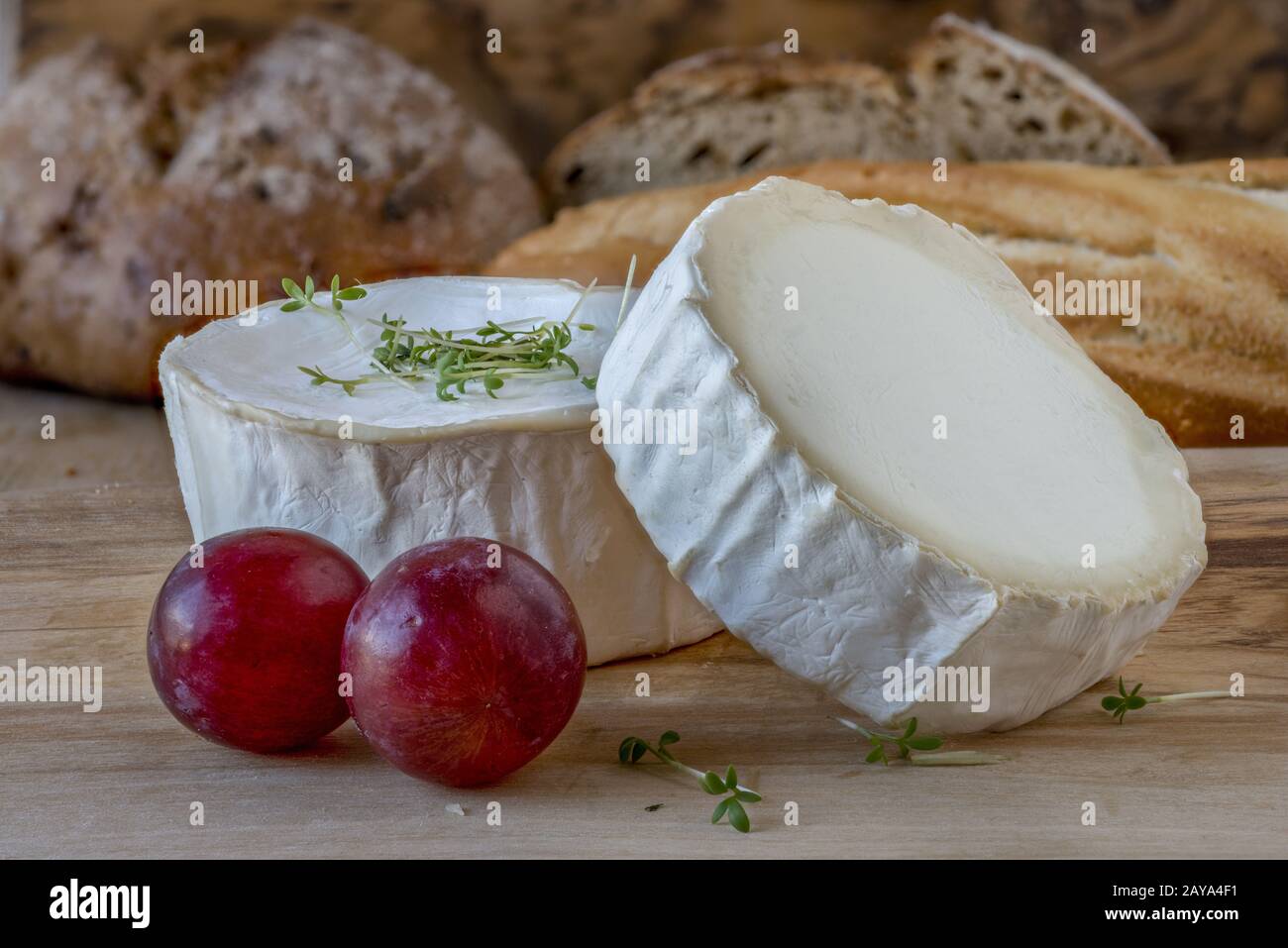 Französischer Ziegenkäse Stockfoto