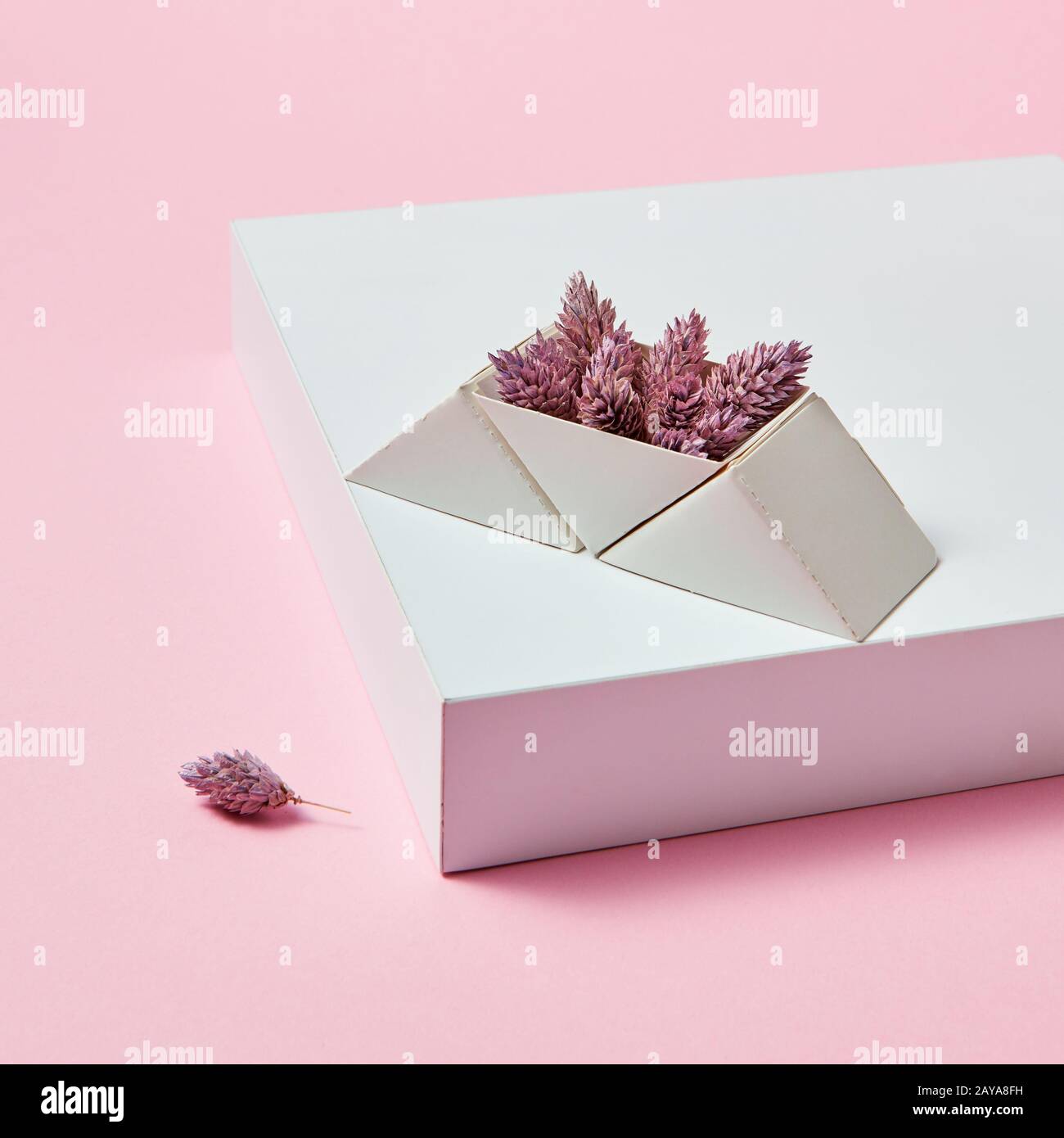Auf das weisse Feld sind Tannenzapfen in einem Karton dreieckiger Box auf einem rosa Hintergrund mit Platz für Text. Stockfoto