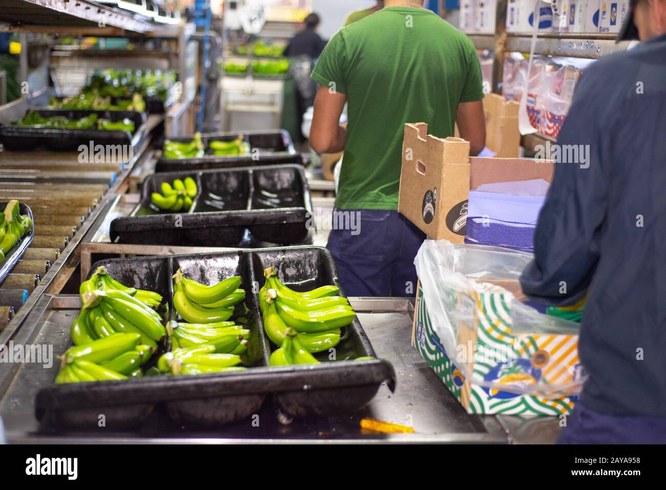 Spanien - 3. Januar 2019: Automated Labeling Machine im Betrieb in der Lebensmittelverpackungsindustrie auf der Kanarischen Insel Stockfoto