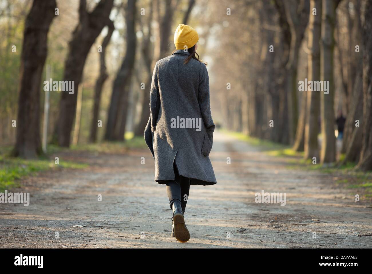 Rückansicht einer jungen Frau, die auf einer Allee spazieren geht. Stockfoto