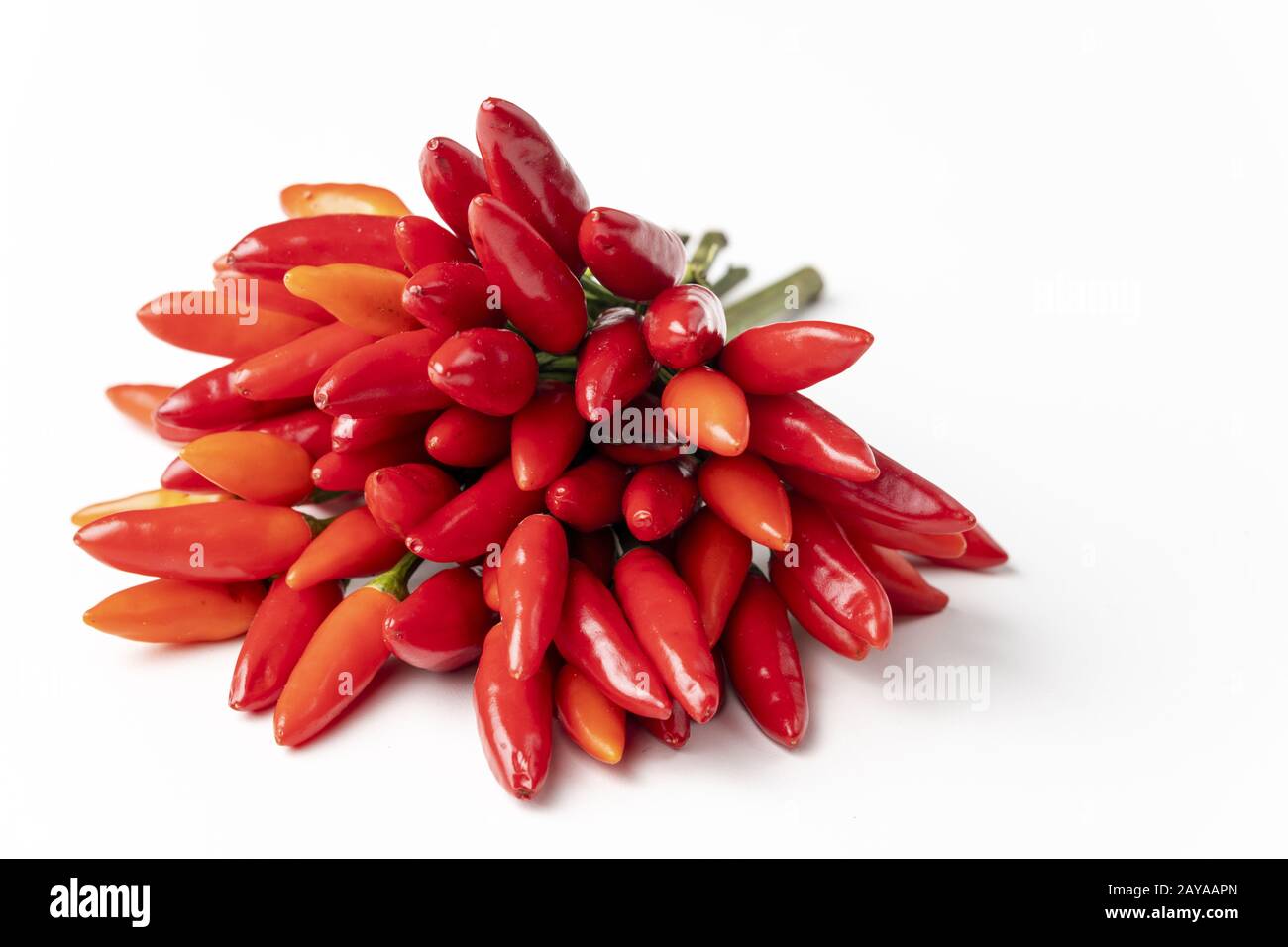 Ein Haufen Chilis auf Weiß Stockfoto