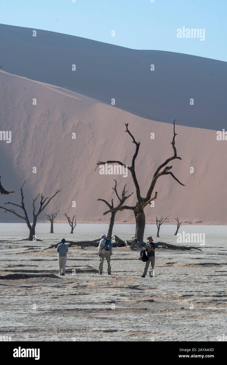 Touristen in Deadvlei, einer Tonpfanne, die von dunklen, toten Kameldornbäumen geprägt ist, kontrastierten gegen den weißen Pfannenboden, der sich in Sossusvlei, Nam, befindet Stockfoto