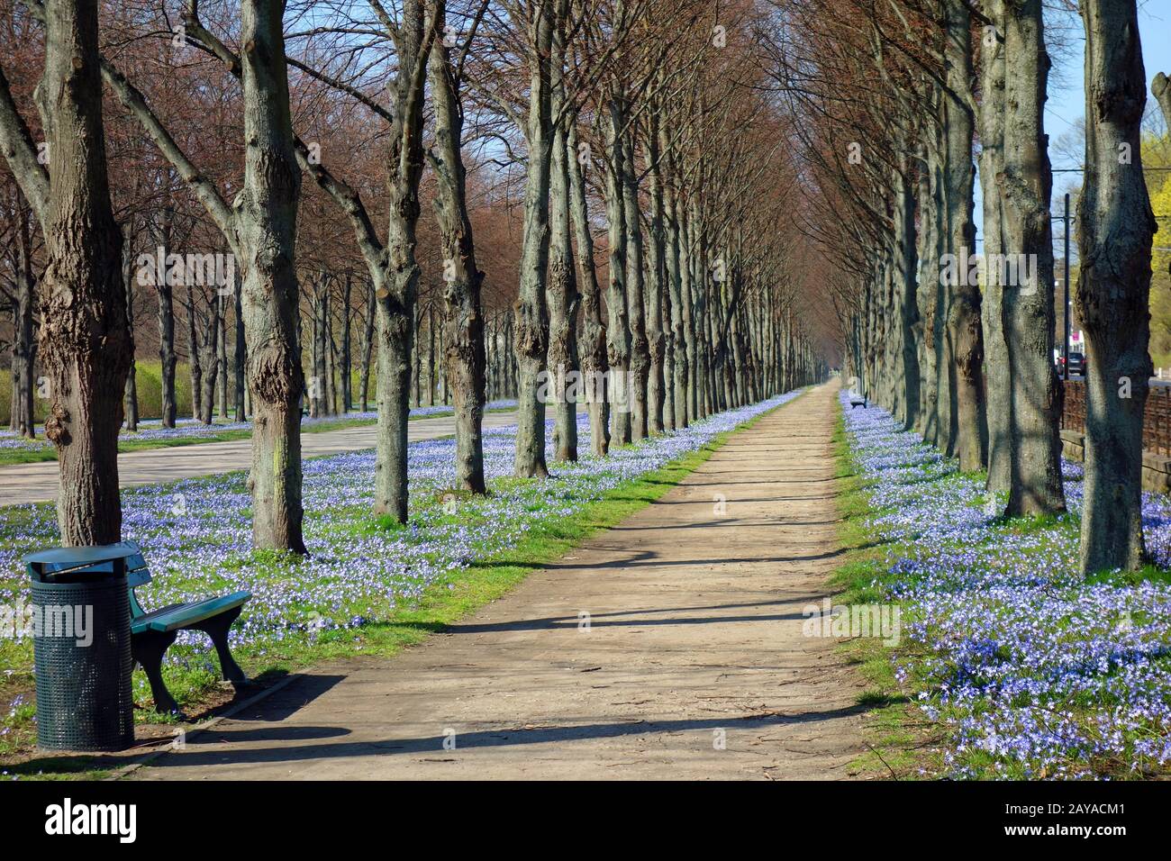 Sanfter Allee herrenhausener Garten, hannover, deutschland Stockfoto