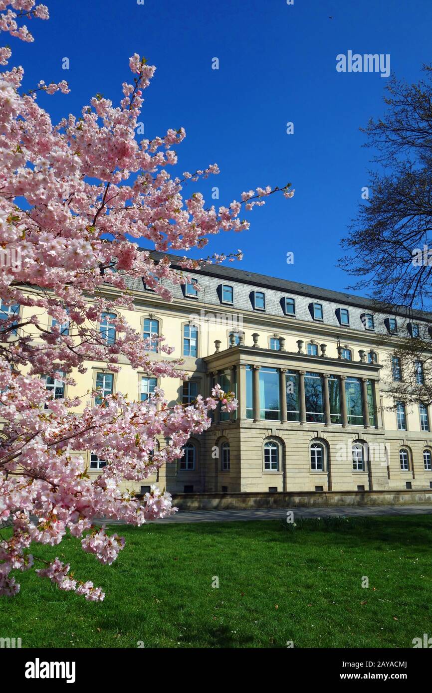 schloss leie in hannover Stockfoto