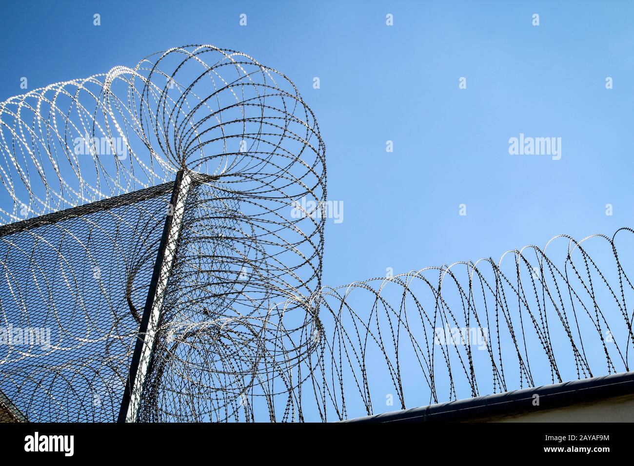 Stacheldraht an einem Zaun eines Gefängnisses, um unbefugten Zutritt zu verhindern Stockfoto