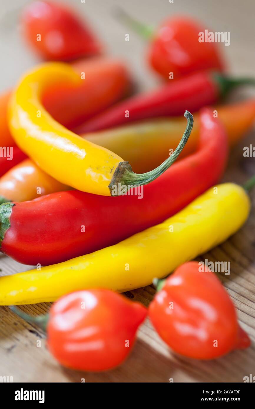 Haufen von verschiedenen chili peppers auf einer hölzernen Hintergrund. Zutaten zum Kochen, spicey Geschmack und Bio-lebensmittel Konzept. Stockfoto