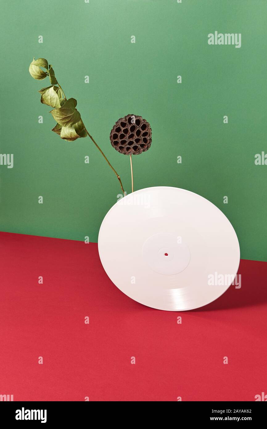 Zusammensetzung trockener Bud, Branche und weißem Vinyl audio Aufzeichnungen auf einem doppelt rot grün Hintergrund mit Platz für Text Stockfoto