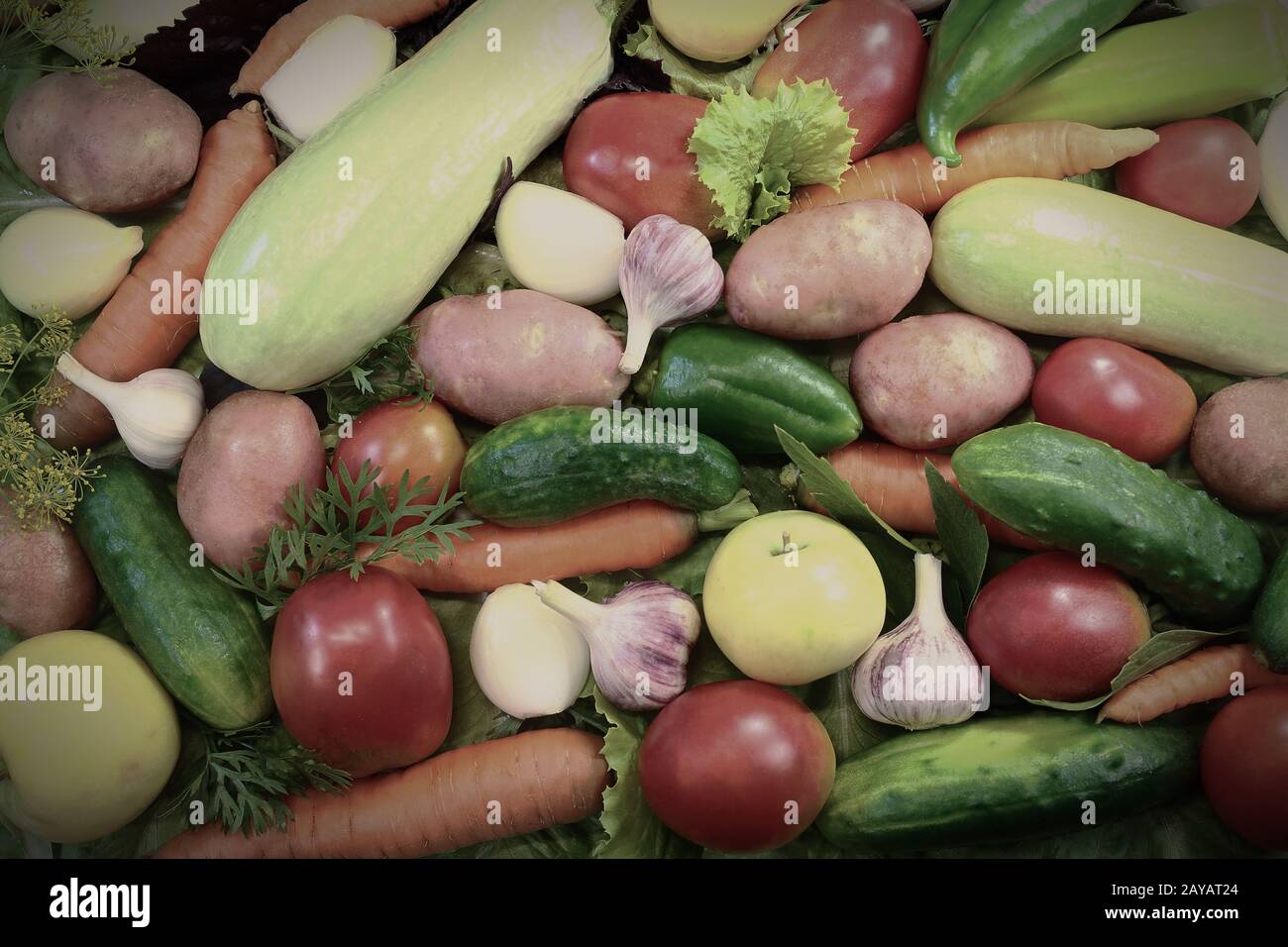 Die Geschenke der Natur - eine Vielzahl von Obst, Gemüse und Salat. Stockfoto