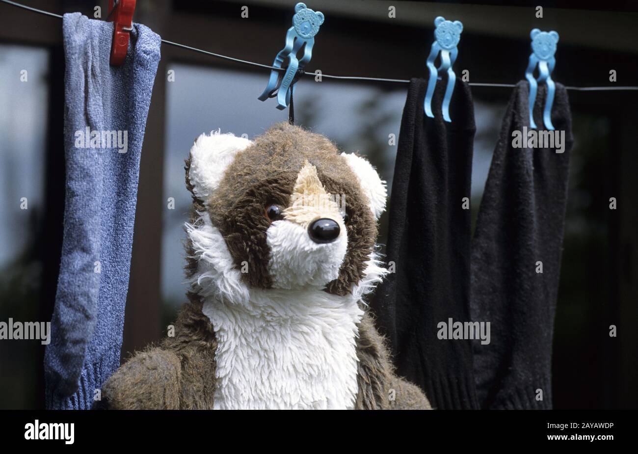 Teddy bear Stockfoto