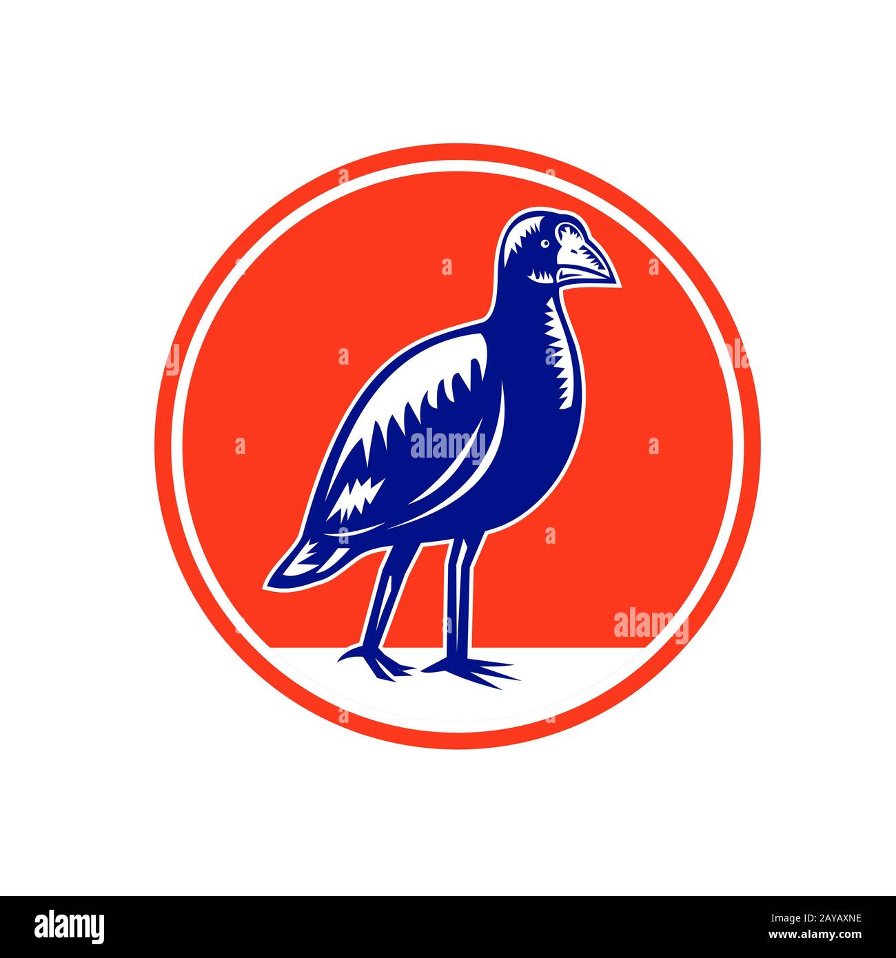 South Island Takahe Circle Holzschnitt Stockfoto