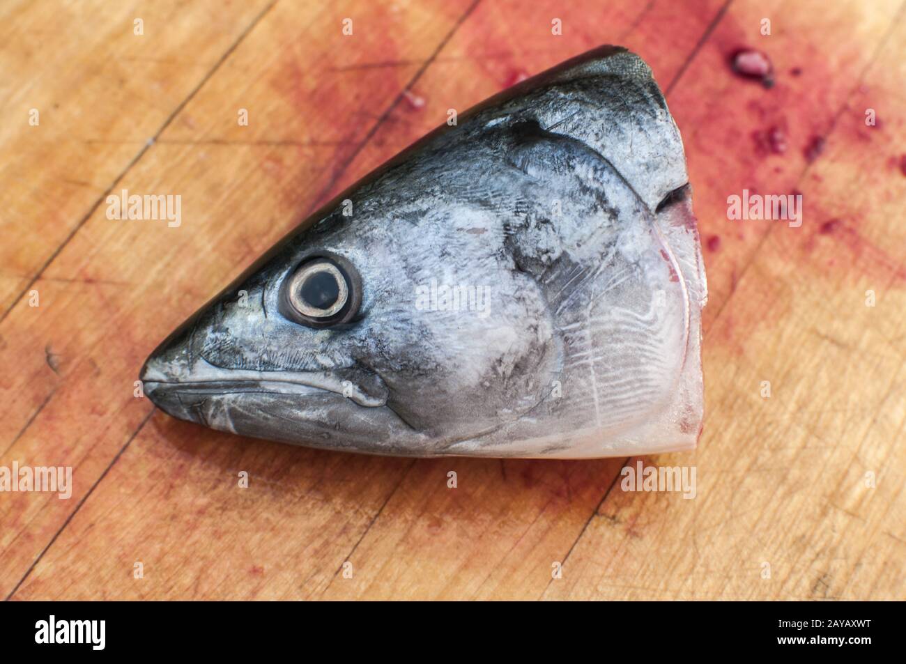 Schneiden Sie den Kopf der rohen Makrele Fisch mit Blut auf Holzbrett Oberfläche closeup als surreal Objekt Stockfoto