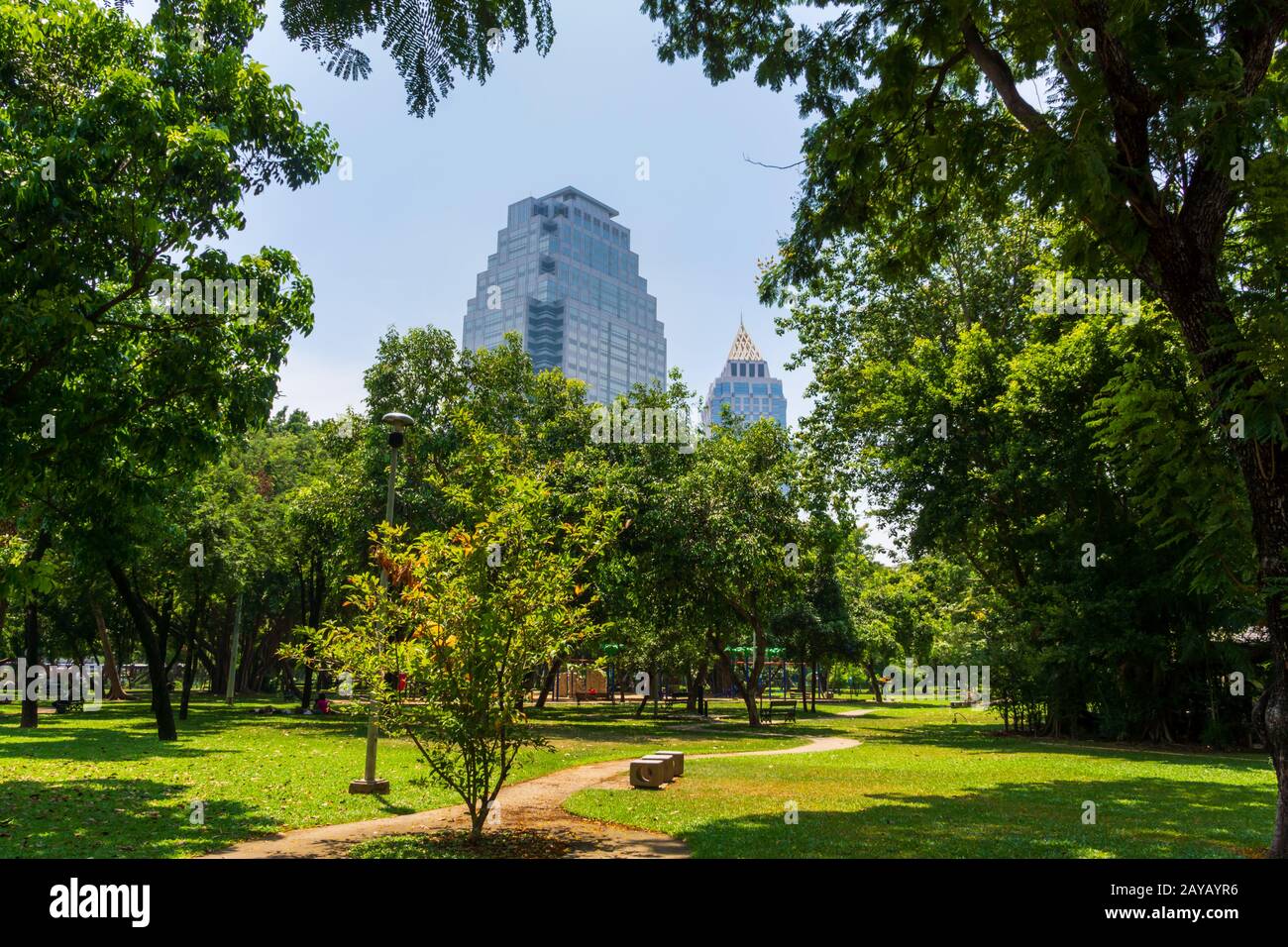 Blick auf die Wolkenkratzer in Bangkok vom Stadtpark Lumpini, grüne Oase in der Stadt Stockfoto