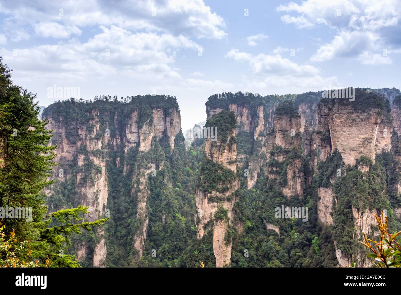 Zhangjiajie Forest Park. Säulenberge, die aus dem Canyon ragen. Wulingyuan, China Stockfoto