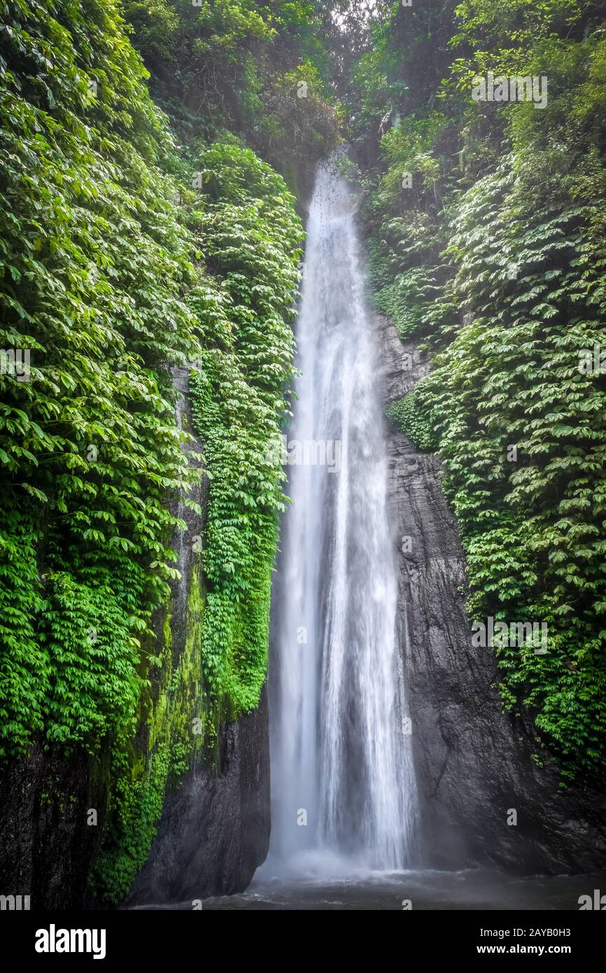 Roter Korallenwasserfall, Munduk, Bali, Indonesien Stockfoto