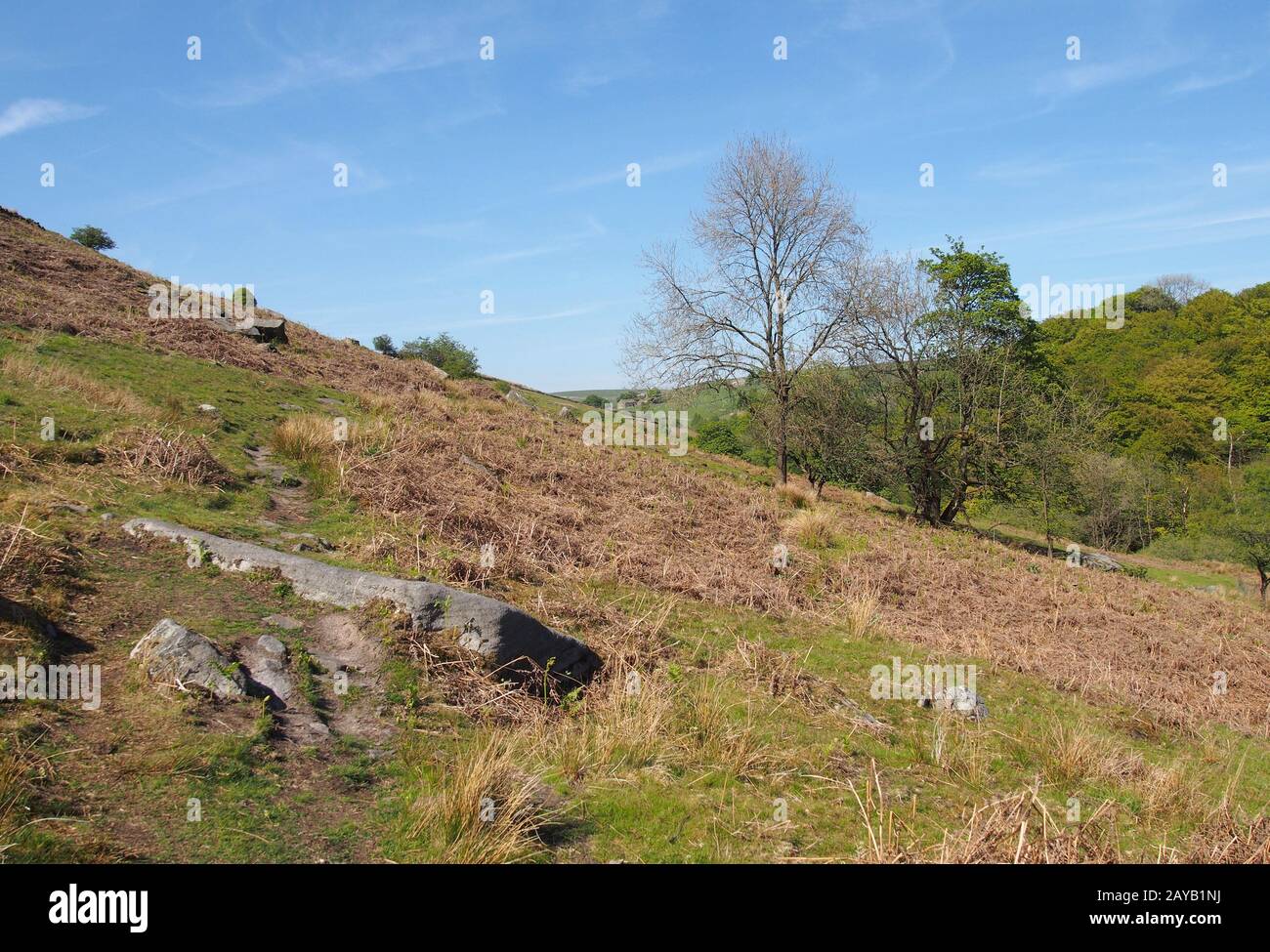 Ein schmaler Graspfad auf hohen felsigen Moorflächen über dem Crimsworth-Dekatal und Hardcaslte-Kragen-Wald im Westen yorkshire Stockfoto