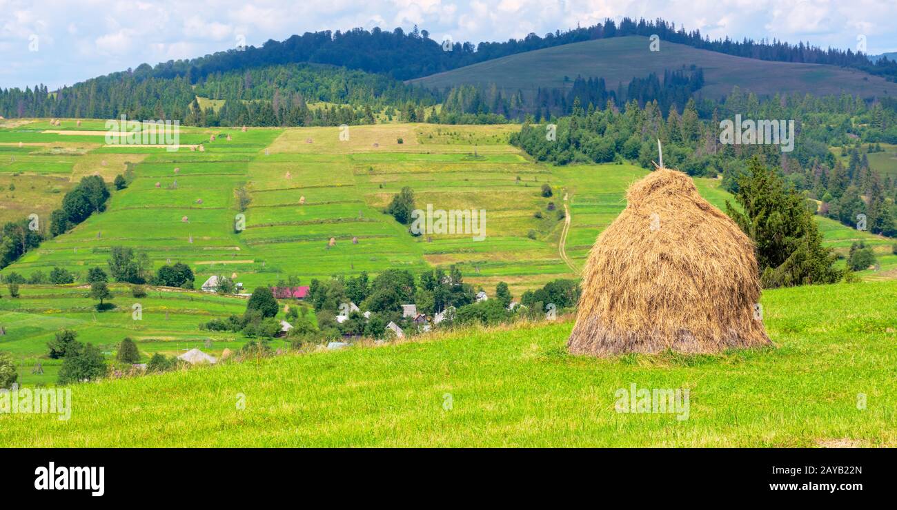 Heuhaufen auf der Wiese im Sommer. Traditionelle karpatische ländliche Landschaft in den Bergen. sonniges Wetter mit Fluffy Clouds Stockfoto