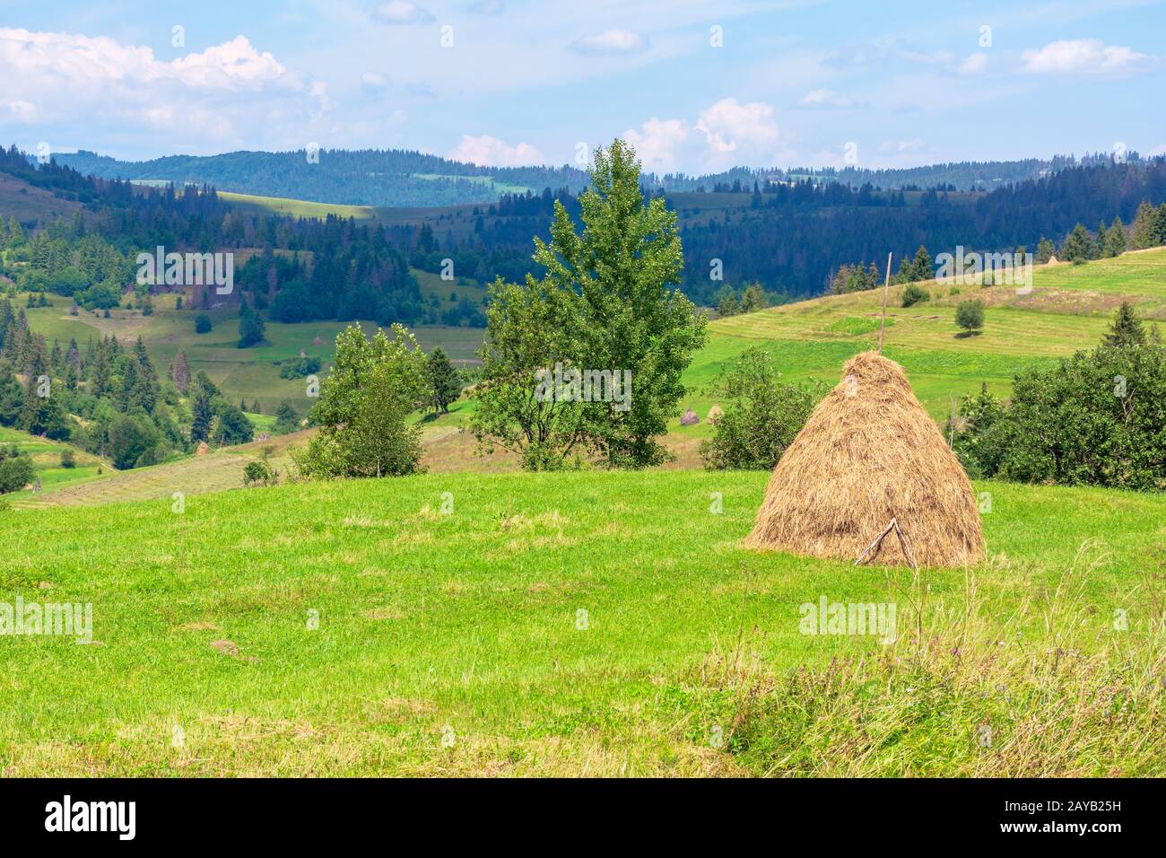 Heuhaufen auf der Wiese im Sommer. Traditionelle karpatische ländliche Landschaft in den Bergen. sonniges Wetter mit Fluffy Clouds Stockfoto