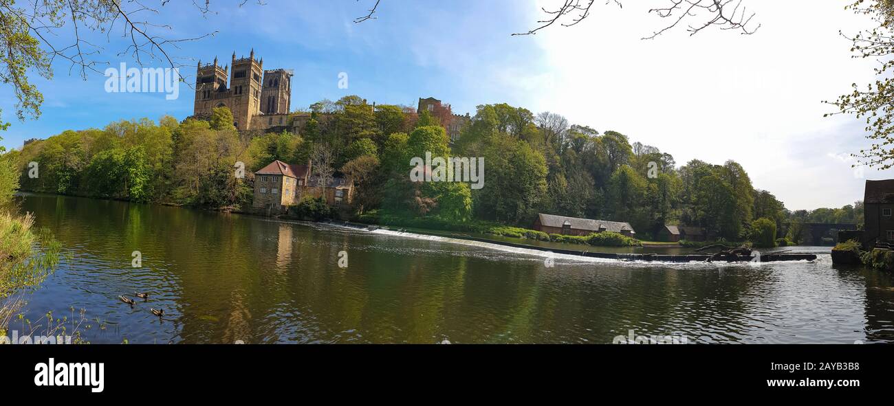 Durham Cathedral and River Wear in Spring in Durham, England Stockfoto