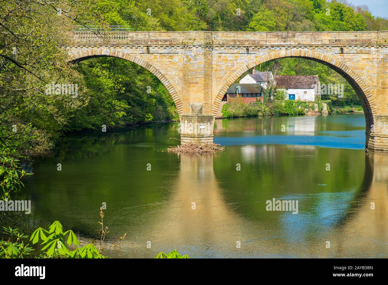 Prebieds Bridge, eine von drei Steinbogenbrücken, die River Wear in Durham, England, überqueren Stockfoto
