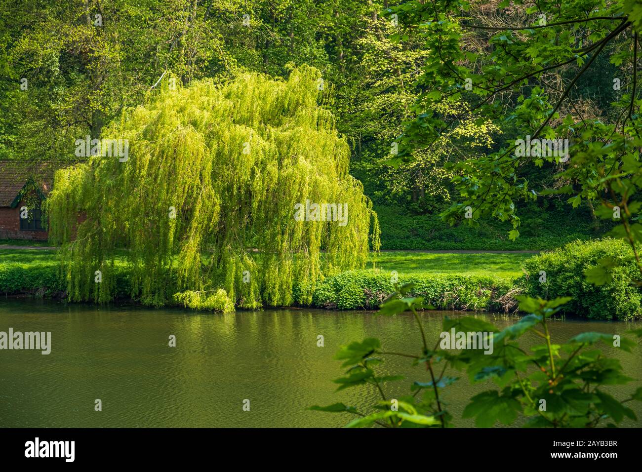 Üppige Vegetation und River Wear in Durham, Großbritannien Stockfoto