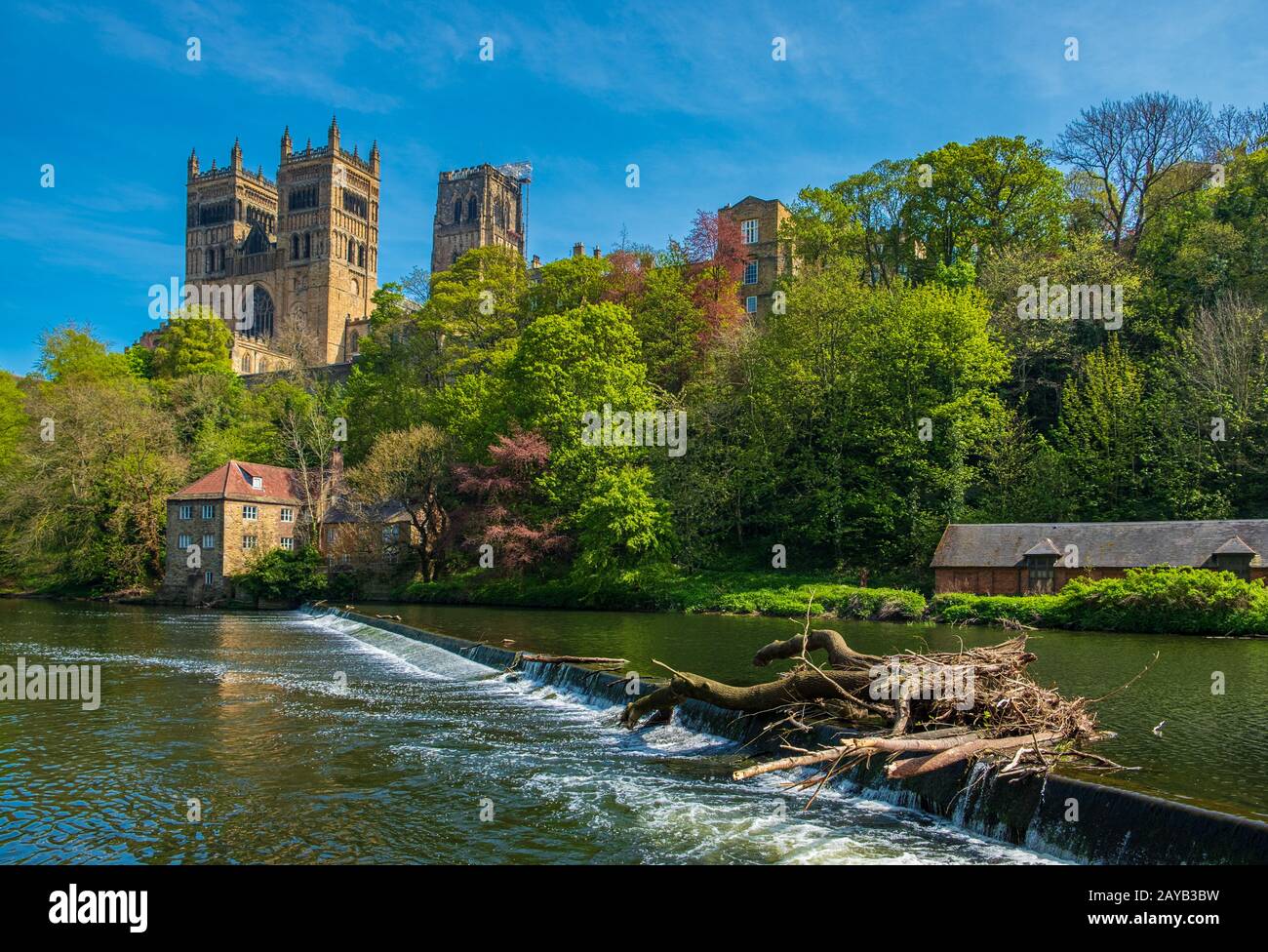 Durham Cathedral and River Wear in Spring in Durham, England Stockfoto