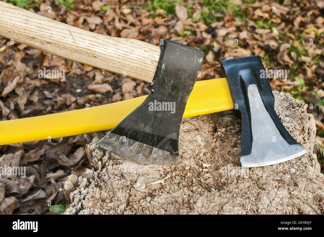 Zwei Achsen mit Stahlklingen in alter Baumstumpf im Herbst Laub Hintergrund klemmt Stockfoto