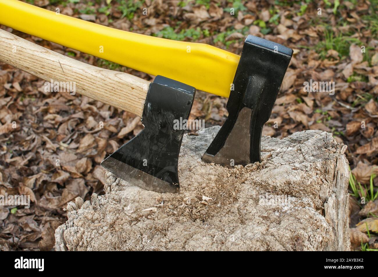 Zwei Achsen mit Stahlklingen in alter Baumstumpf im Herbst Laub Hintergrund klemmt Stockfoto