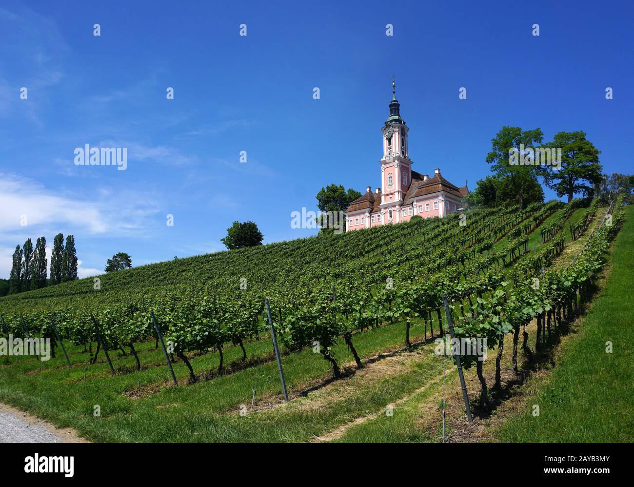 Klosterkirche Birnau am Bodensee, Deutschland Stockfoto