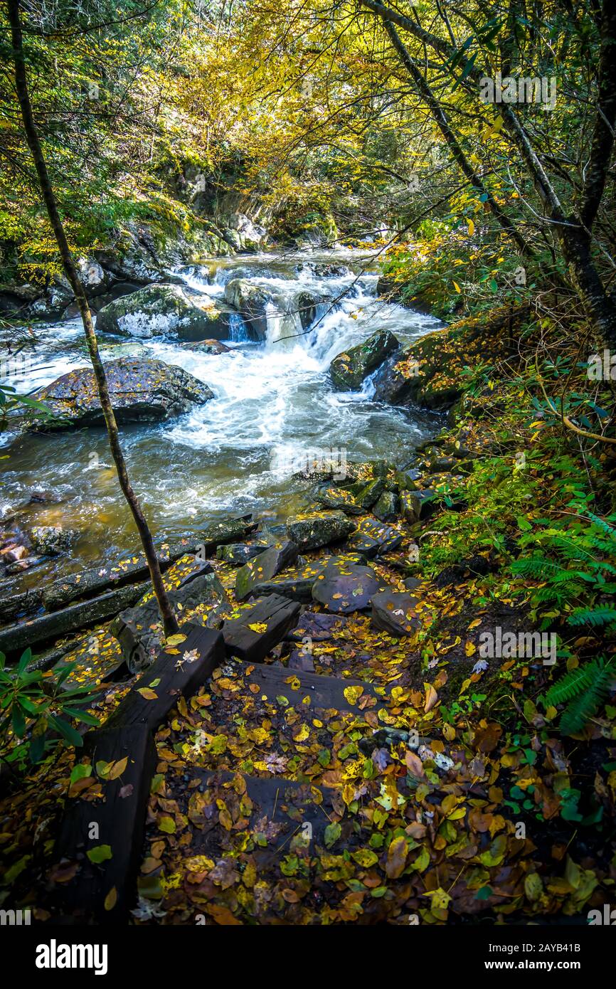 Malerische Landschaft vom virginia Creeper Trail im Herbst Stockfoto