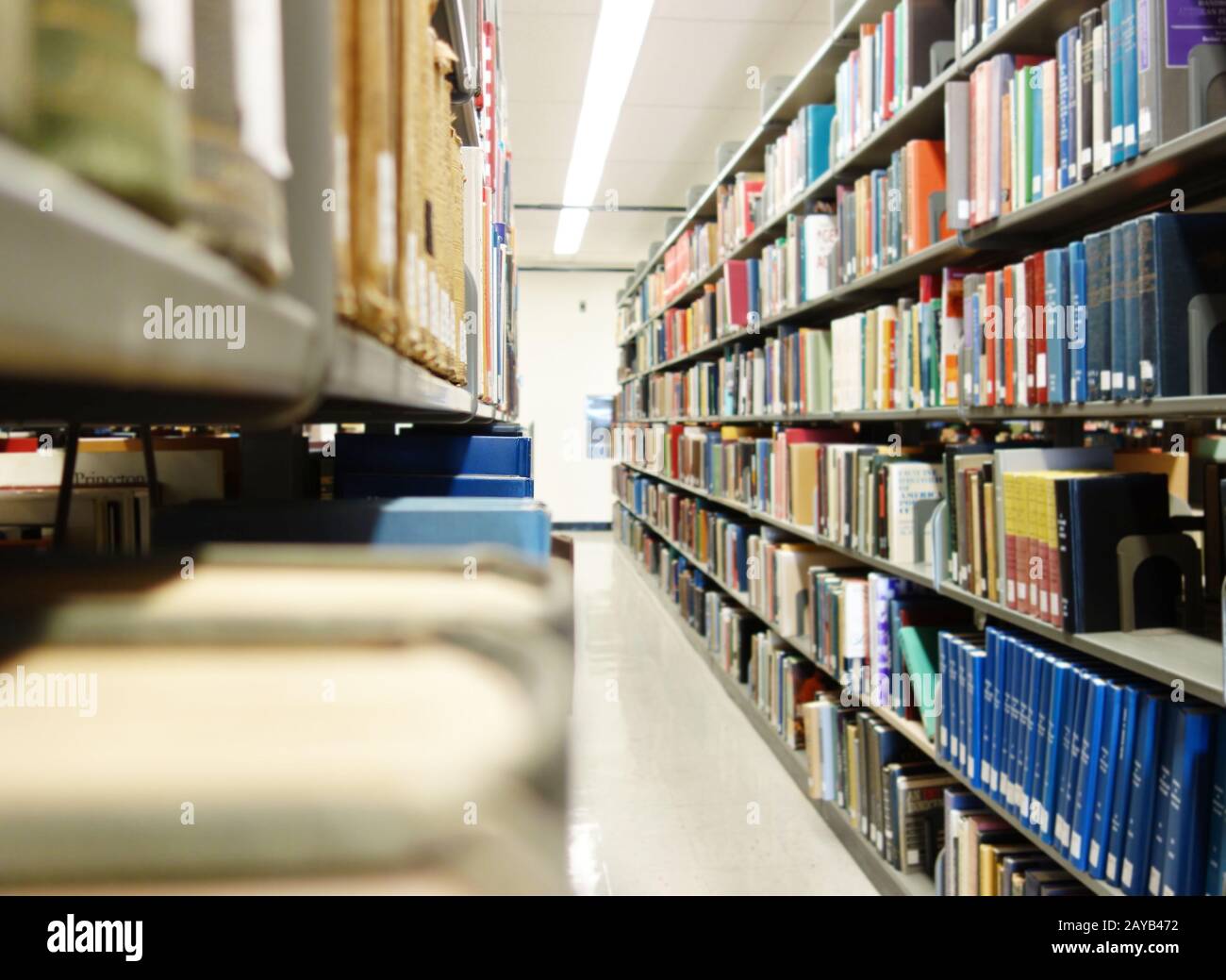 Bibliotheksbücher in den Regalen Stockfoto