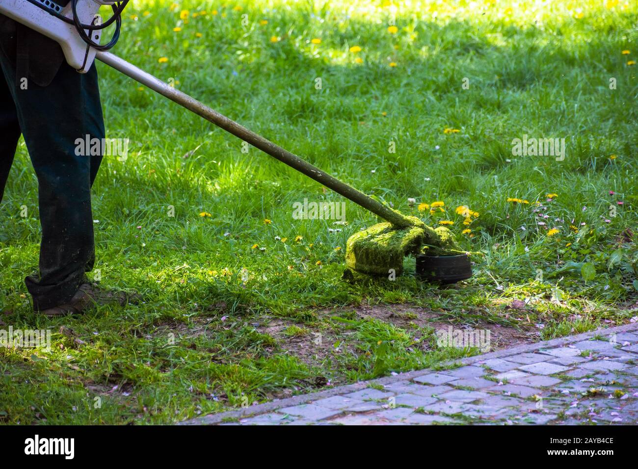 Rasenfräsen im Park: Professioneller Rasenpflegedienst mit Benzinfräser im Schatten der Bäume Stockfoto