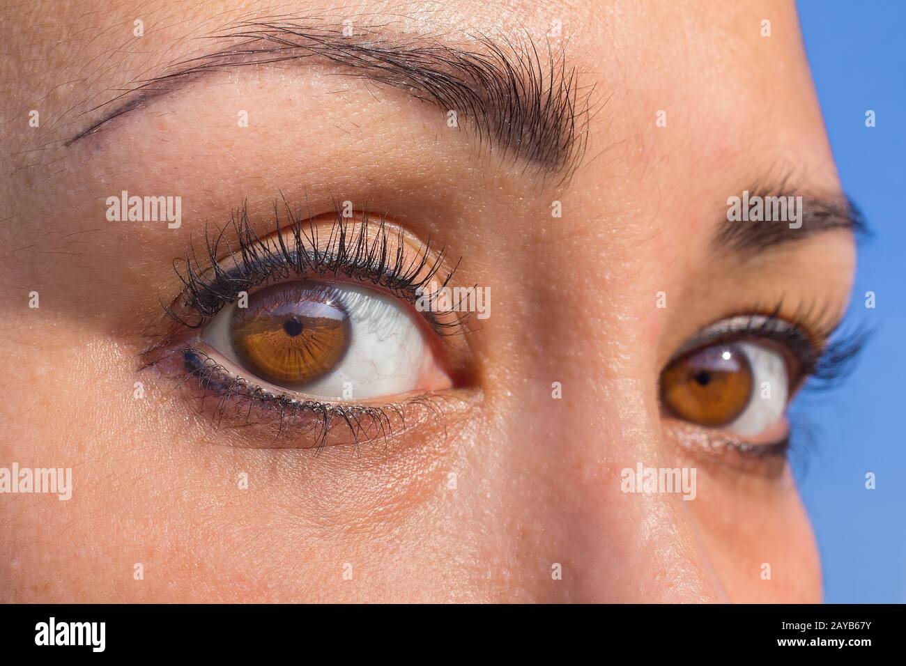 Schließen Sie zwei mandelfarbene Augen im weiblichen Gesicht Stockfoto