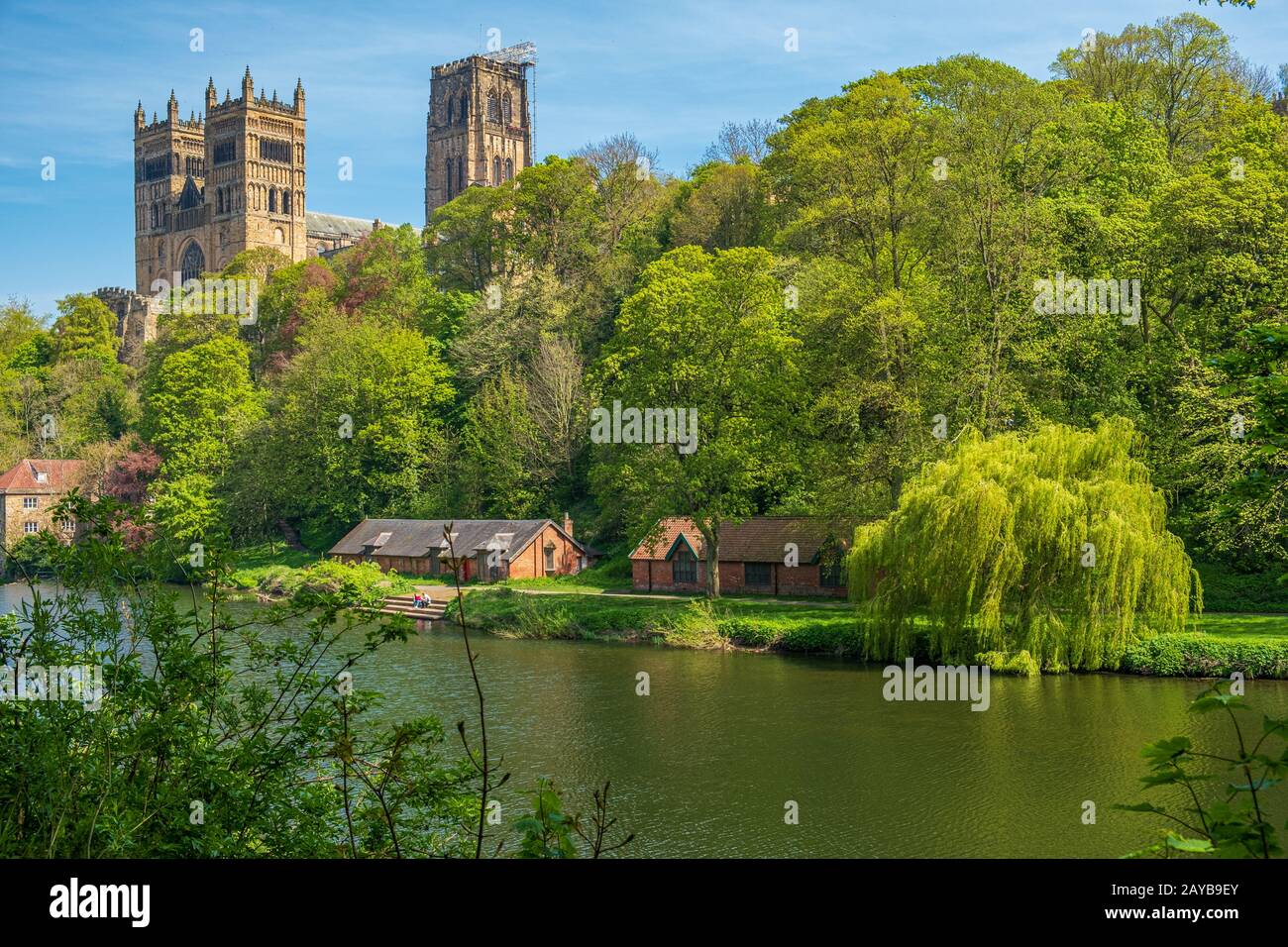 Durham Kathedrale und den Fluss im Frühjahr in Durham, Großbritannien Verschleiß Stockfoto