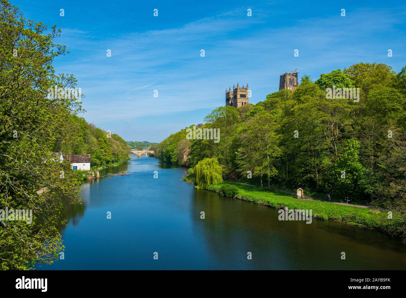 River Wear und Durham Cathedral in Spring in Durham, Großbritannien Stockfoto