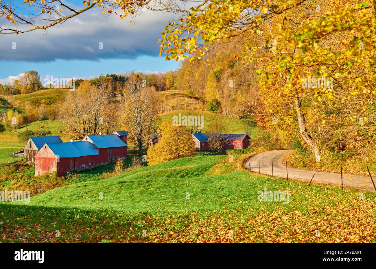 Farm Jenne mit Scheune am sonnigen Herbstmorgen Stockfoto