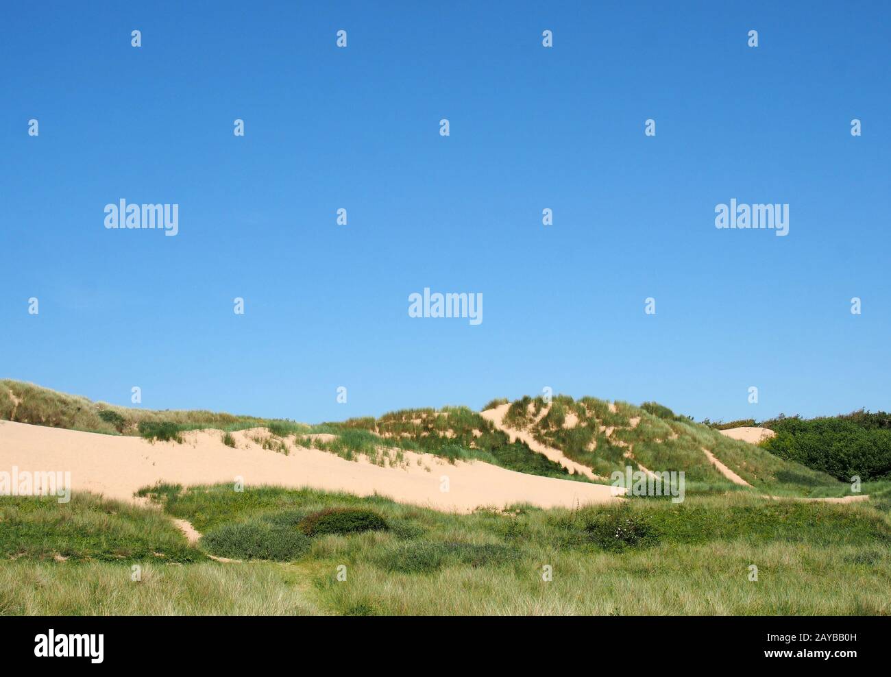 Wege durch die mit hohem Gras bewachsene Sanddünenlandschaft vor dem Meer und das leuchtend blaue Meer bei Sommersonne auf dem sefton Co Stockfoto