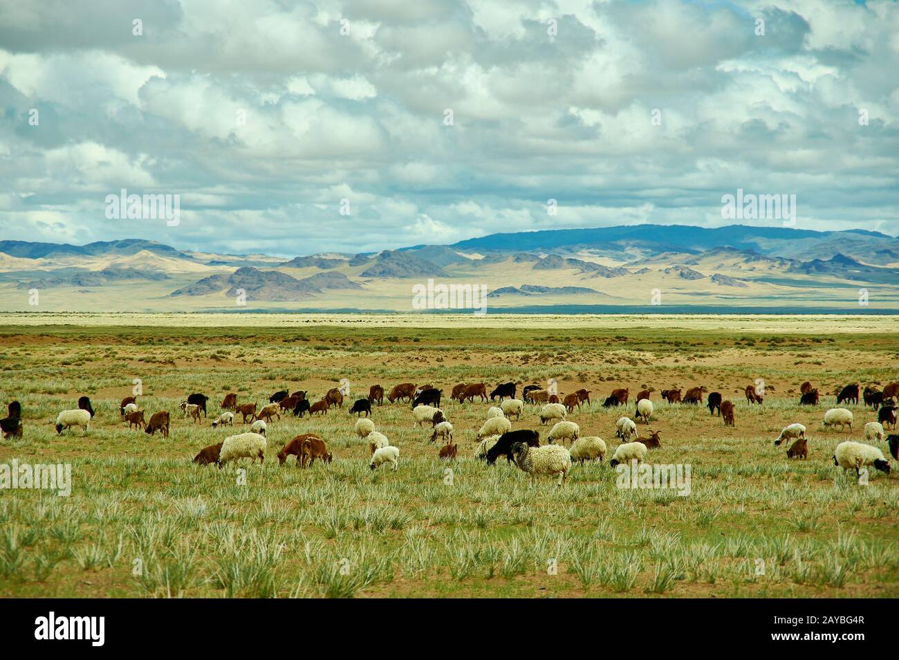 Mongolische Weiden in der Gegend Zavkhan Rive Stockfoto