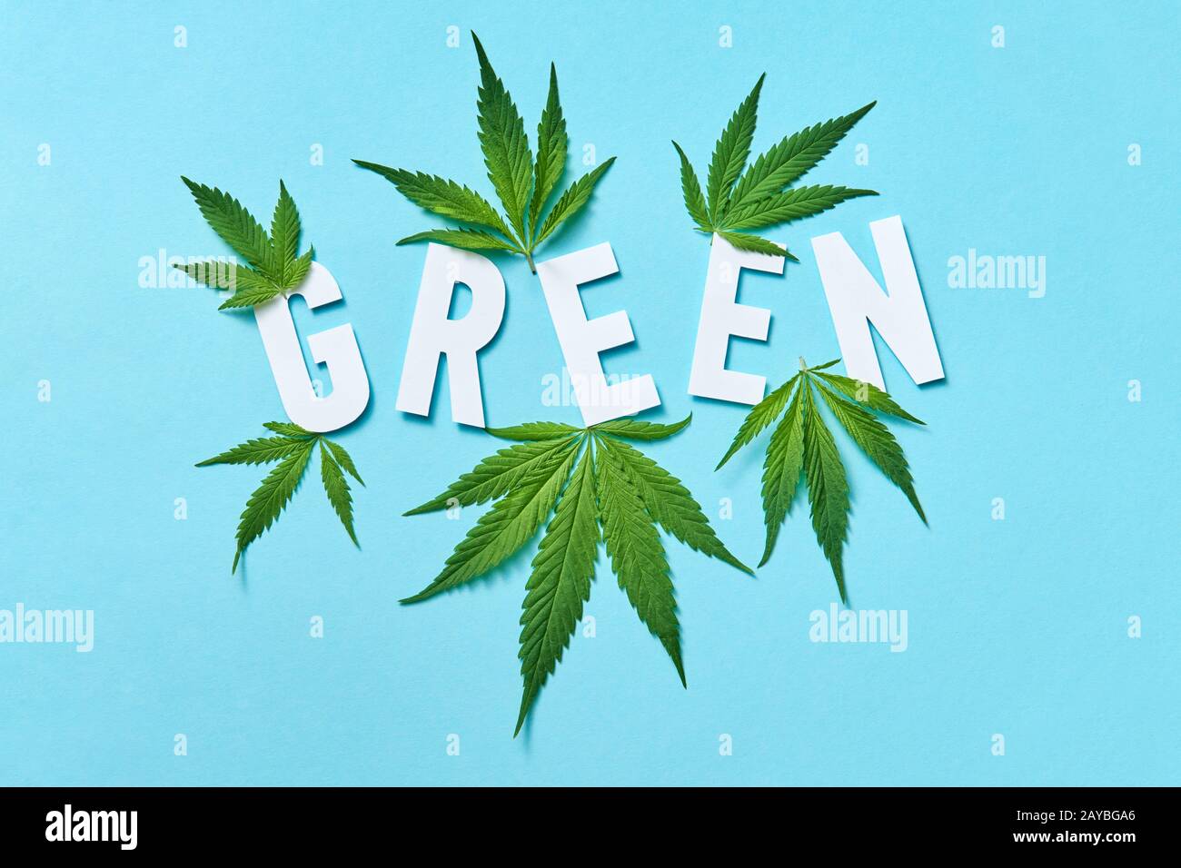 Weißes Papier Wort Grün mit Marihuanablättern auf pastellblauem Hintergrund. Stockfoto