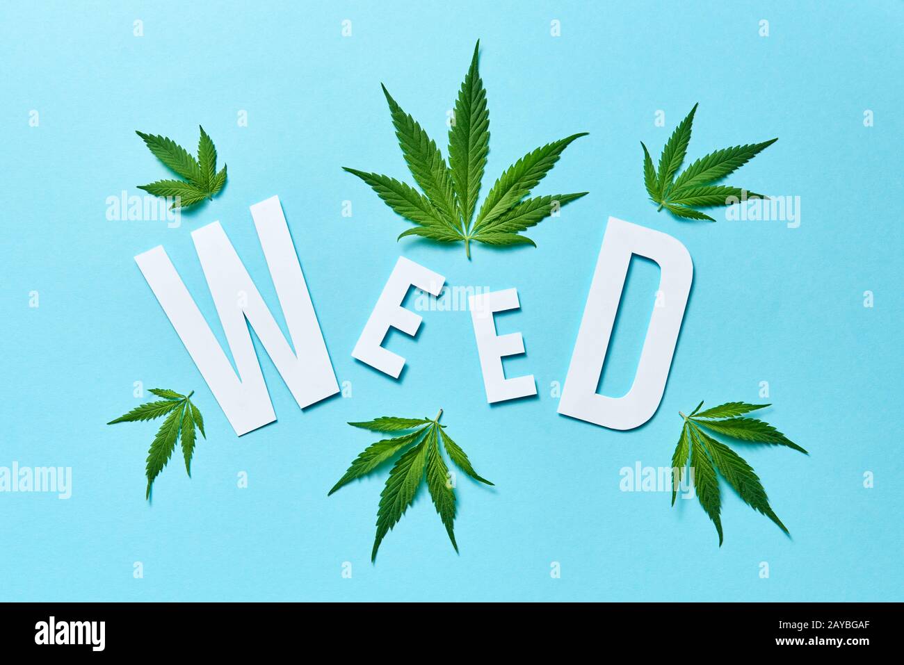 Wortkraut aus Papier mit Cannabisblättern auf pastellblauem Hintergrund. Stockfoto