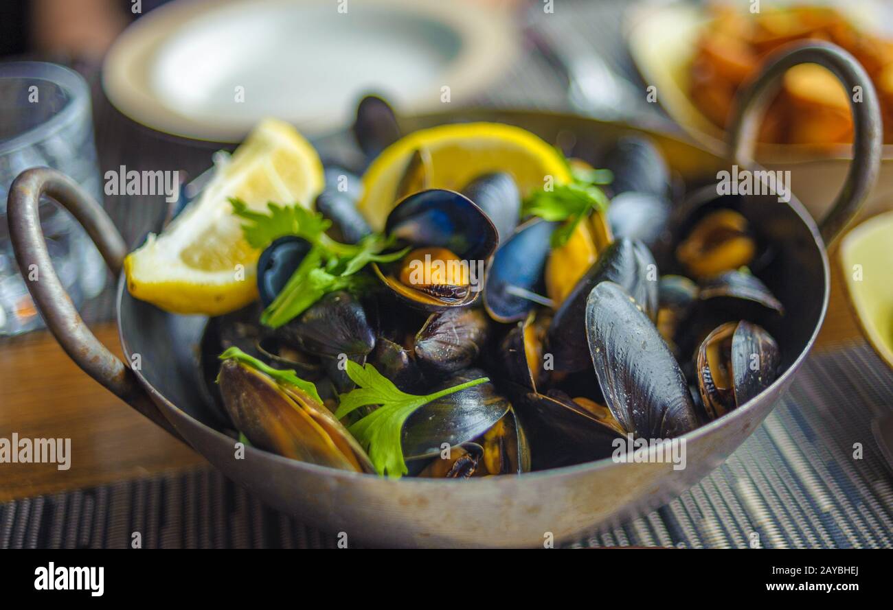 Gedämpfte Muscheln in einem Topf. Köstliche Meeresfrüchte Teller. Stockfoto