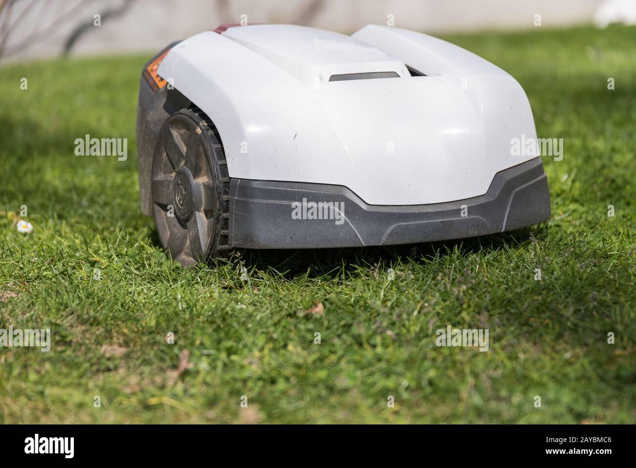 Mähen des Rasens mit einem Mähroboter - Nahaufnahme des automower Stockfoto