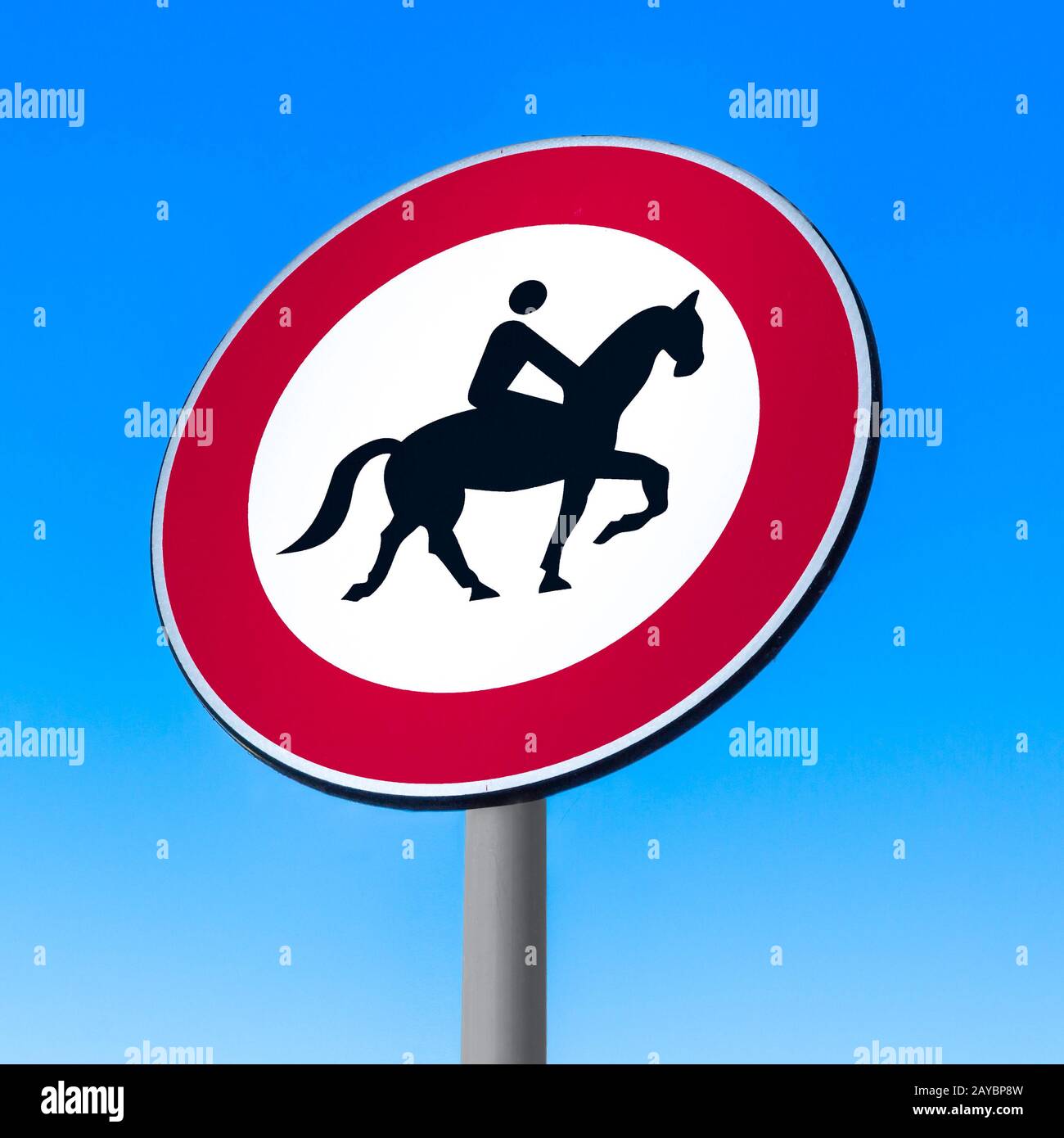 Straßenschild zum Verbot der Durchfahrt mit Pferd Stockfoto