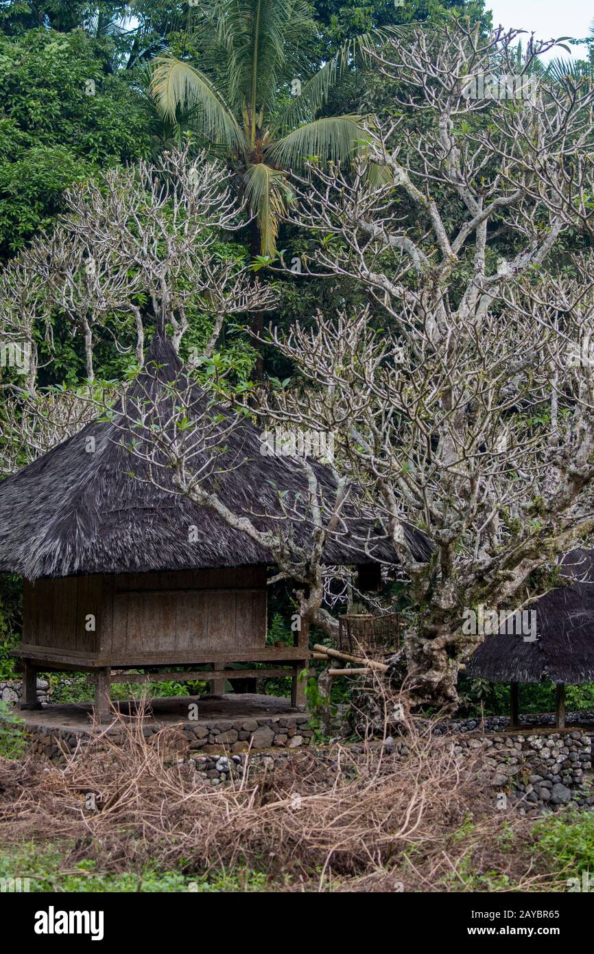 Am nördlichen Ende des Tenganan-Dorfes auf Ostbali befindet sich in Indonesien der alte Dorftempel Pura Puseh, der Ursprungstempel, umgeben von altem frangi Stockfoto