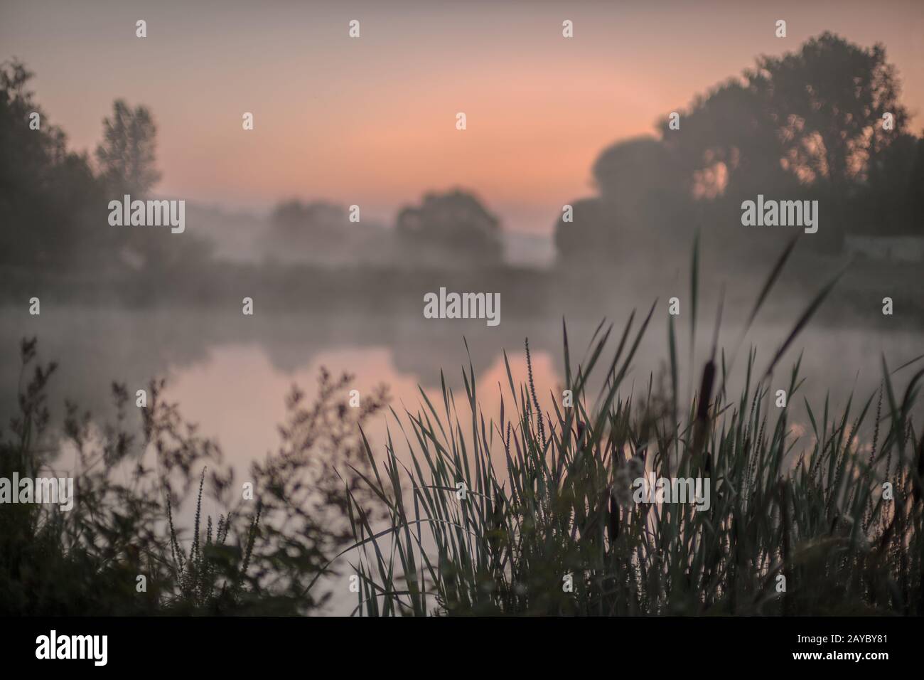 Teich nebel Fotos und Bildmaterial in hoher Auflösung Alamy